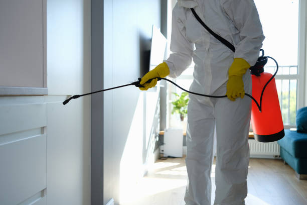 Best Commercial Mold Inspection  in Leisuretowne, NJ